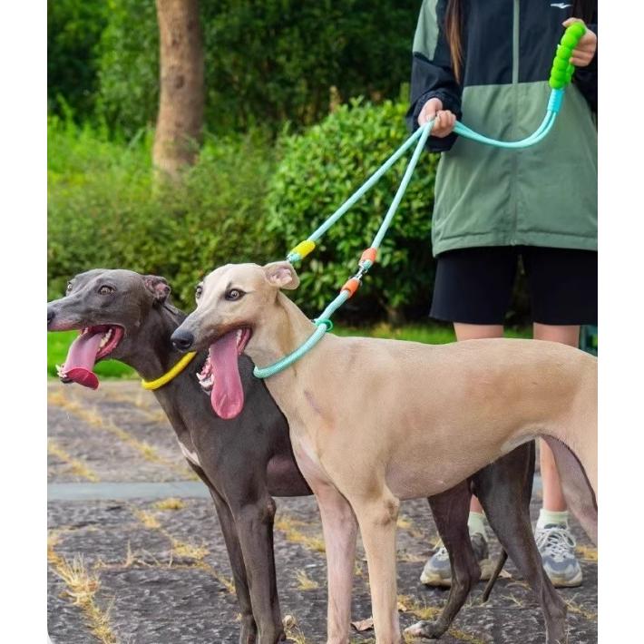 犬 首輪 ハーフチョーク チョーカー P型 犬用 大型犬 中型犬 引っ張り