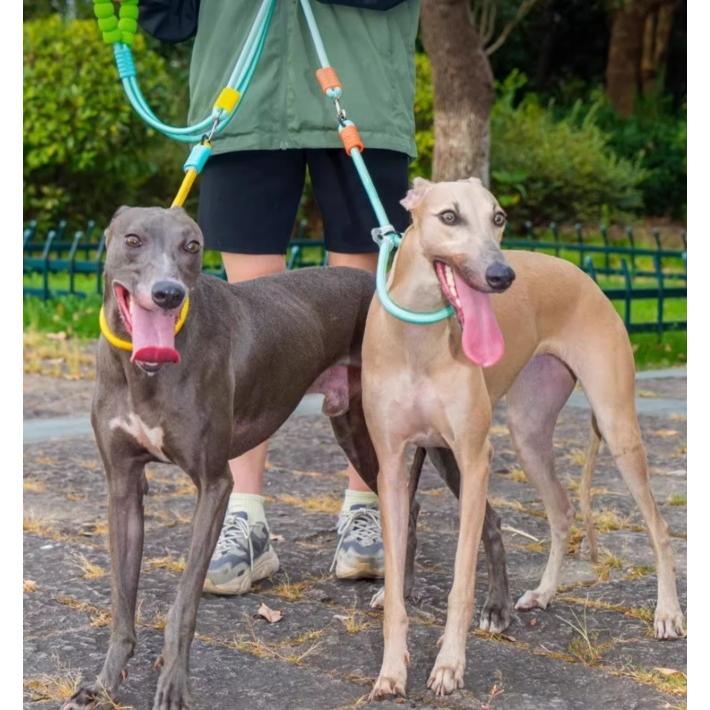 犬 首輪 ハーフチョーク チョーカー P型 犬用 大型犬 中型犬 引っ張り