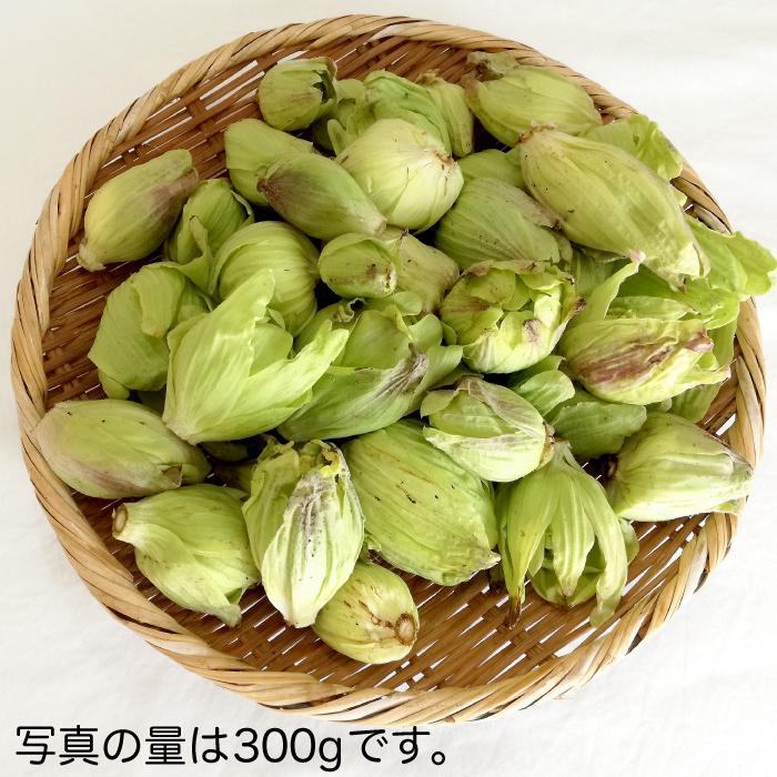 ご予約受付中4月下旬発送】天然ふきのとう1kg 秋田産 採りたて ご予約受付中4月下旬発送】天然ふきのとう1kg 秋田産 採りたて