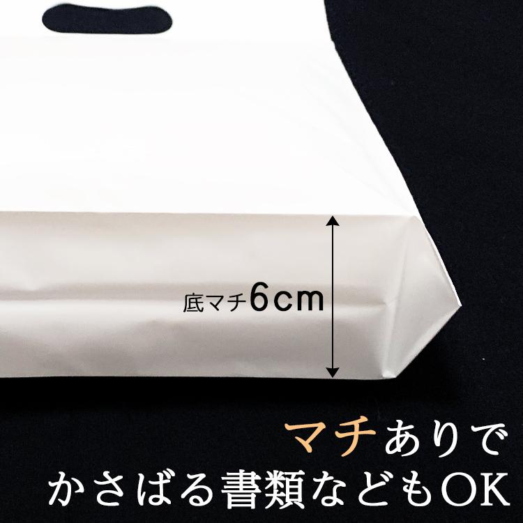 チャック付き手提げ袋10枚セット（中）チャック付 袋 ギフト 資料