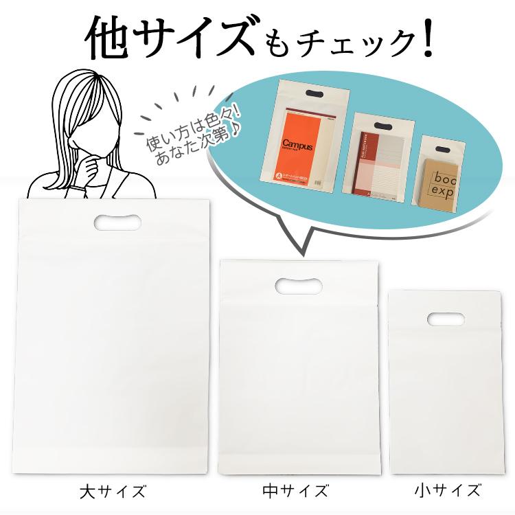 チャック付き手提げ袋10枚セット（中）チャック付 袋 ギフト 資料