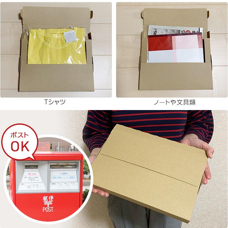大口まとめ買い】100枚セット ネコポスケース マチ2.5cm A4 大口まとめ買い】100枚セット ネコポスケース マチ2.5cm A4