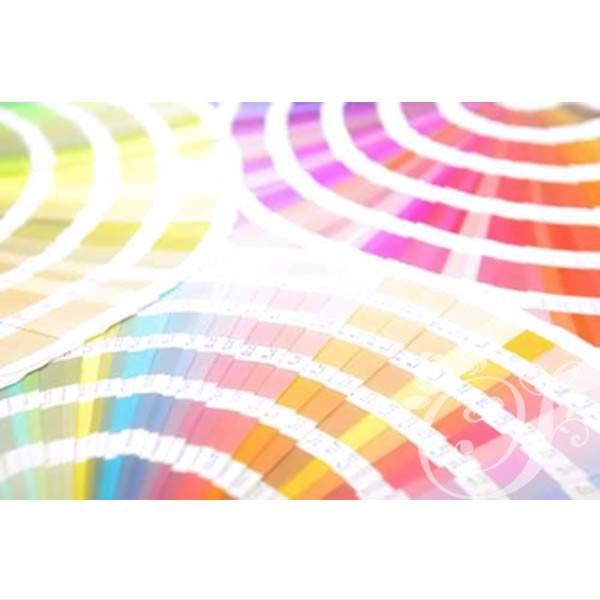 26【新品未使用】 パーソナルカラー＆色彩心理アドバンス　通信講座（資格発行）認定証込・心理メンタルケアに◎ 【2178812361】(13500円)