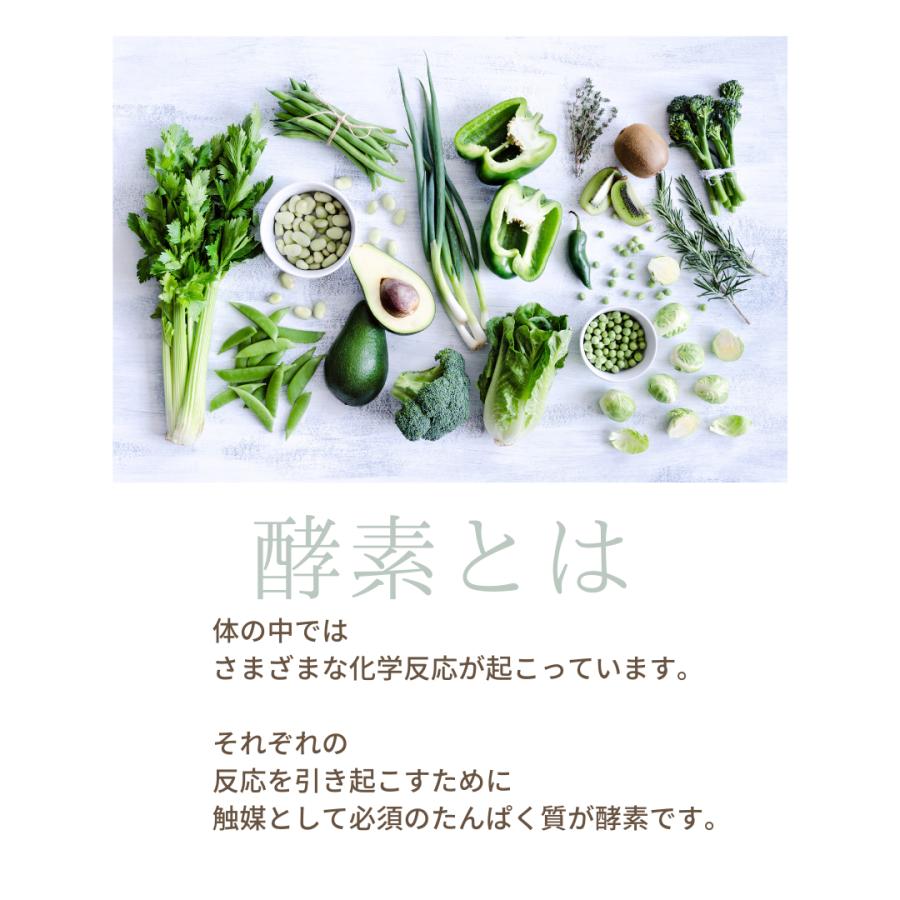 乳酸菌 酵素 麹菌 善玉菌 腸内環境 腸活サプリメント ｜PLiSS（プリス）10包入り |  | 04