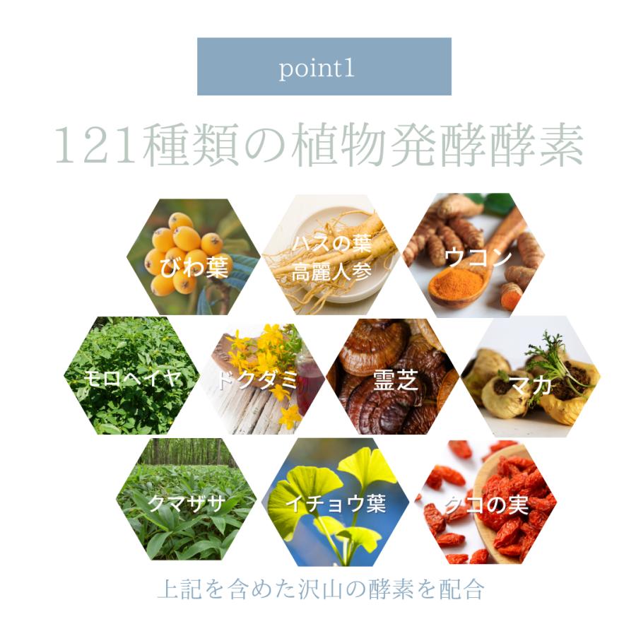 乳酸菌 酵素 麹菌 善玉菌 腸内環境 腸活サプリメント ｜PLiSS（プリス）10包入り |  | 05