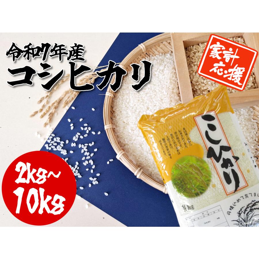 令和7年度　コシヒカリ　5キロ×2袋　10キロ コシヒカリ 令和7年産 白米 2kg/5kg/10kg こしひかり 同梱可能 備蓄