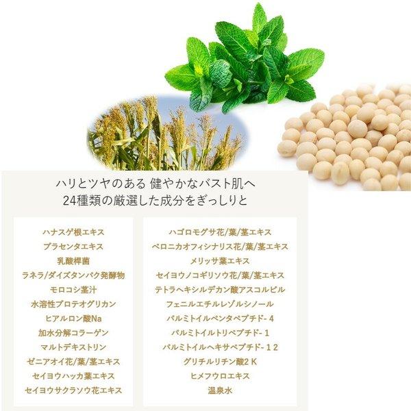 ボルセンタ VOLCENTA バストクリーム 100g 美容クリーム バストケア