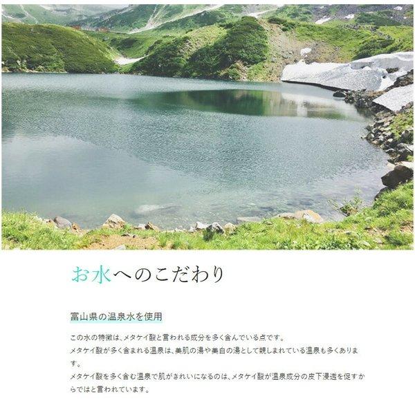 ボルセンタ VOLCENTA バストクリーム 100g 美容クリーム バストケア 