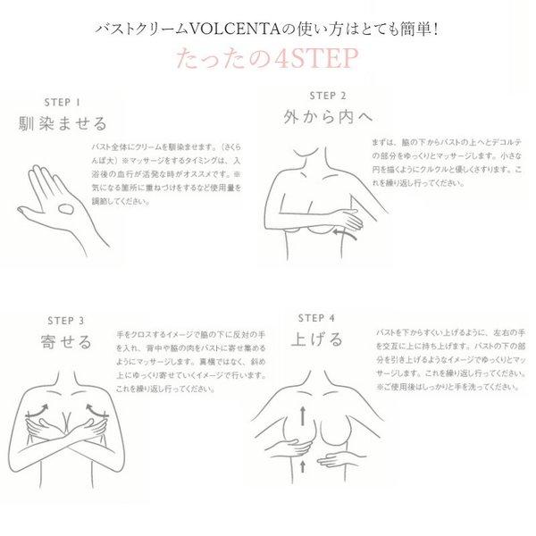 ボルセンタ VOLCENTA バストクリーム 100g 美容クリーム バストケア