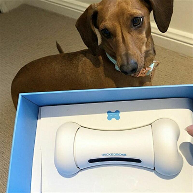 動く おもちゃ ペット 遊ぶ プレゼント 自動 運動 電動 ラジコン スマートフォン スマホ アプリ スマホ操作 Bluetooth 玩具 追いかける 逃げる 犬のおもちゃ｜tbh｜06