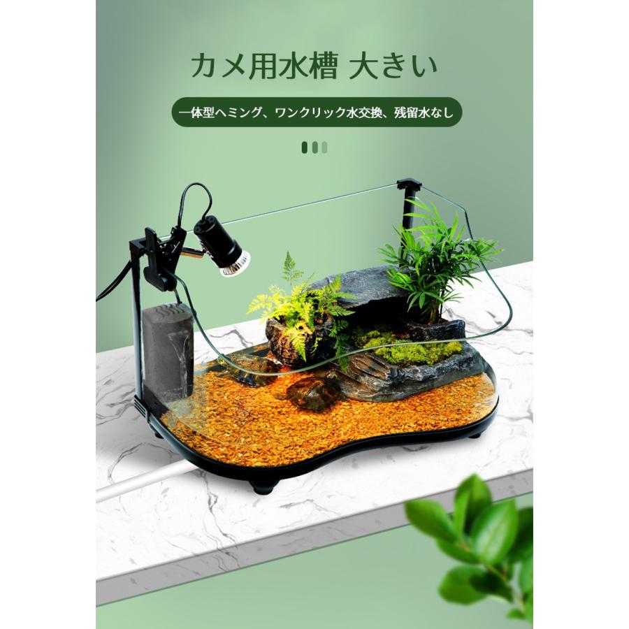 更に値下げ！タートルベース】ミズガメの飼育～繁殖まで！