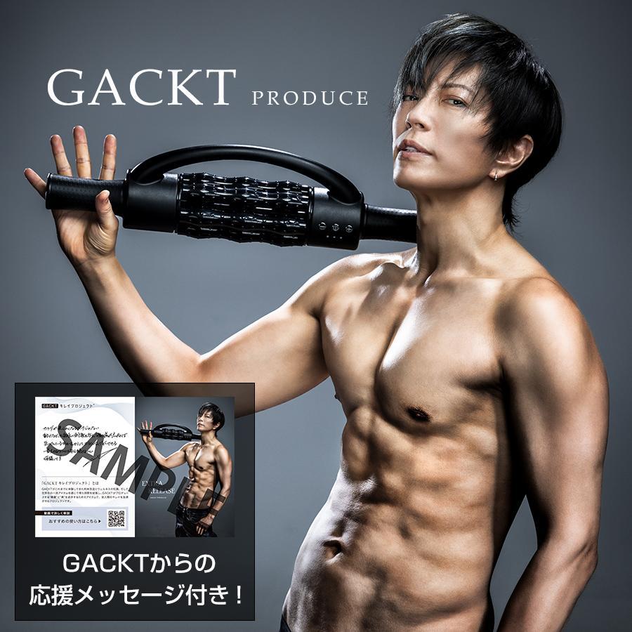 エクストラリリース / GACKTプロデュース / ストレッチ 回転ローラー トレーニング 【TBSショッピング】 の商品画像