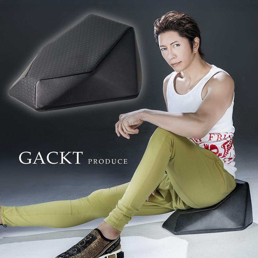 エクストラクッション / GACKTプロデュース / スタイルアップ 骨盤 柔軟 振動マシン  2449 【TBSショッピング】（Yahoo!・TBSショッピング）