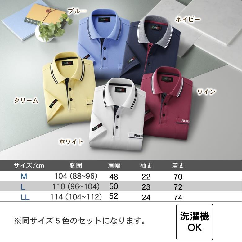 ANEW(アニュー) メンズ グラデーションポロシャツ XL ANEW(アニュー) メンズ グラデーションポロシャツ XL