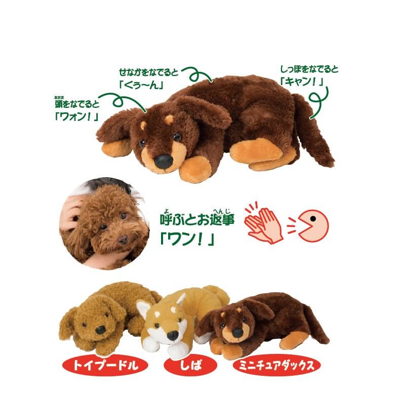 なでなでワンちゃん 犬ぬいぐるみ 認知症対策おばあちゃん おじいちゃん 祖父母 高齢者 プレゼント お年寄り 老人 お誕生日祝い 介護用品 便利グッズ F09 1236 Tcマート シニア服 シルバーカー 通販 Yahoo ショッピング