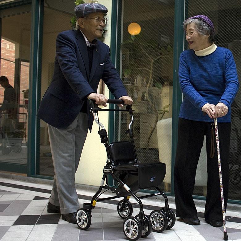 シルバーカー 軽量 日本製 男性用ライトステップタイニーW・HOMME