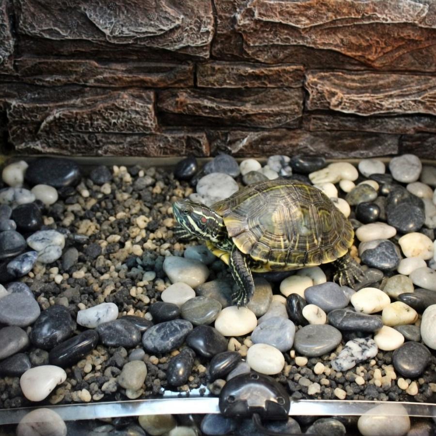 パネルヒーター 爬虫類 亀 小動物 防水 保温 マルチ マット シート