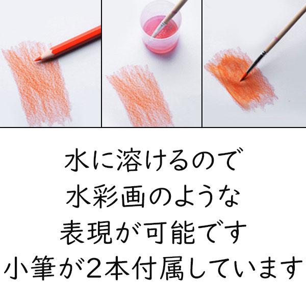 水彩色鉛筆 48色 色鉛筆 セット 塗り絵 水彩画 水性 お絵かき 色