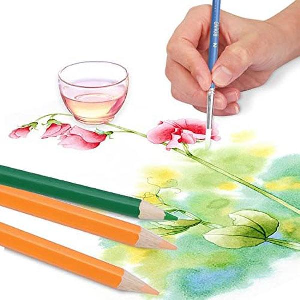 水彩色鉛筆 48色 色鉛筆 セット 塗り絵 水彩画 水性 お絵かき 色