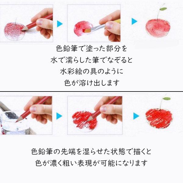 水彩色鉛筆 48色 色鉛筆 セット 塗り絵 水彩画 水性 お絵かき 色