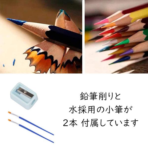 水彩色鉛筆 48色 色鉛筆 セット 塗り絵 水彩画 水性 お絵かき 色