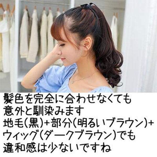 ウィッグ ポニーテール エクステンション ロングカール つけ毛