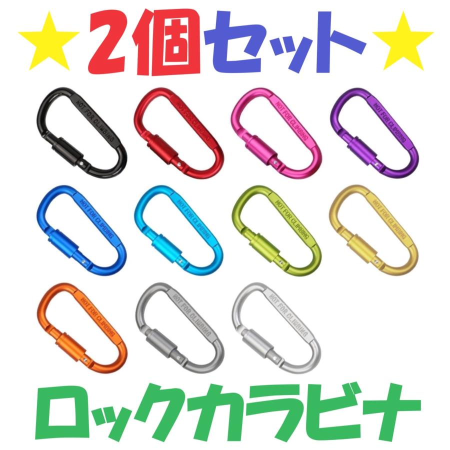 2個セット】 Dリング ロックカラビナ D型 ロック付き キーホルダー