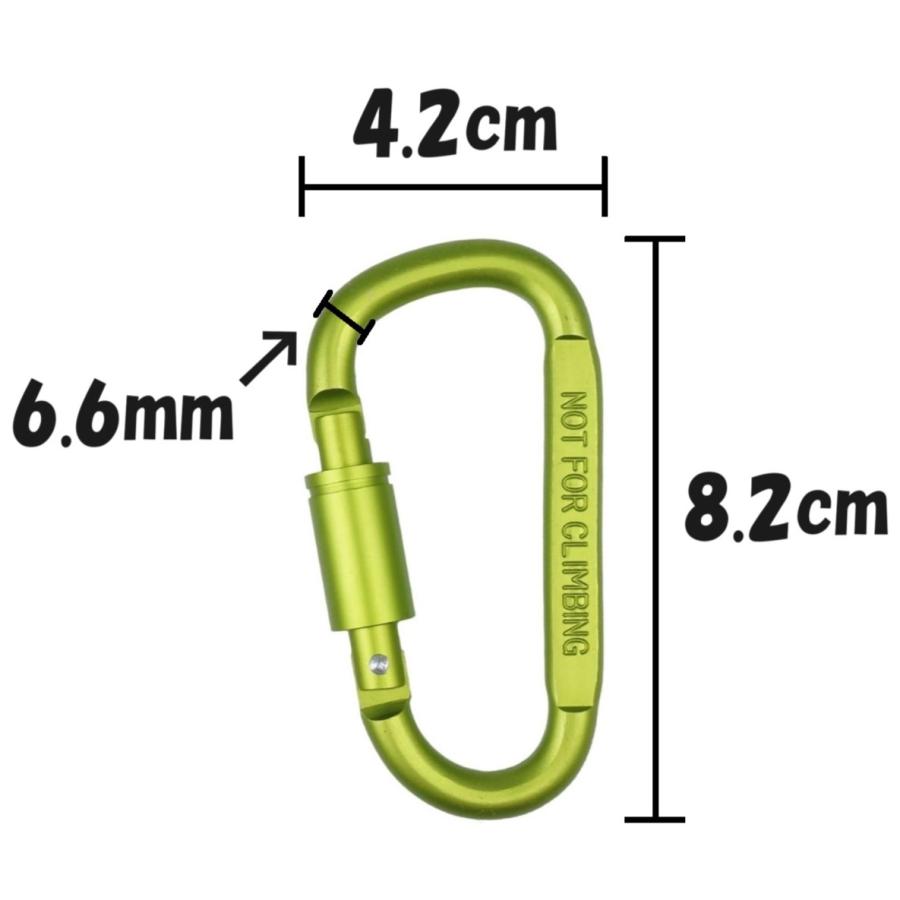 2個セット】 Dリング ロックカラビナ D型 ロック付き キーホルダー