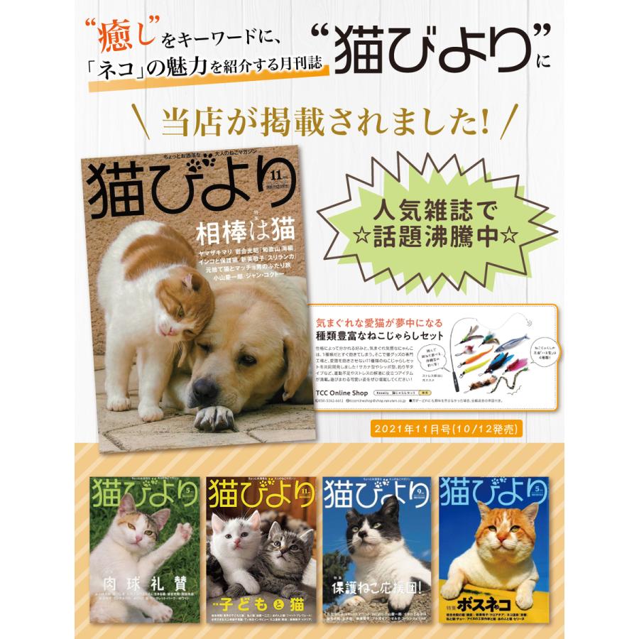 【獣医師が監修】 猫じゃらし ねこじゃらし 猫用おもちゃ 猫 ねこ ネコ 羽根 鈴 猫用品 猫おもちゃ ストレス解消 運動不足解消 鳥の羽 鳥のハネ | Rozally | 01