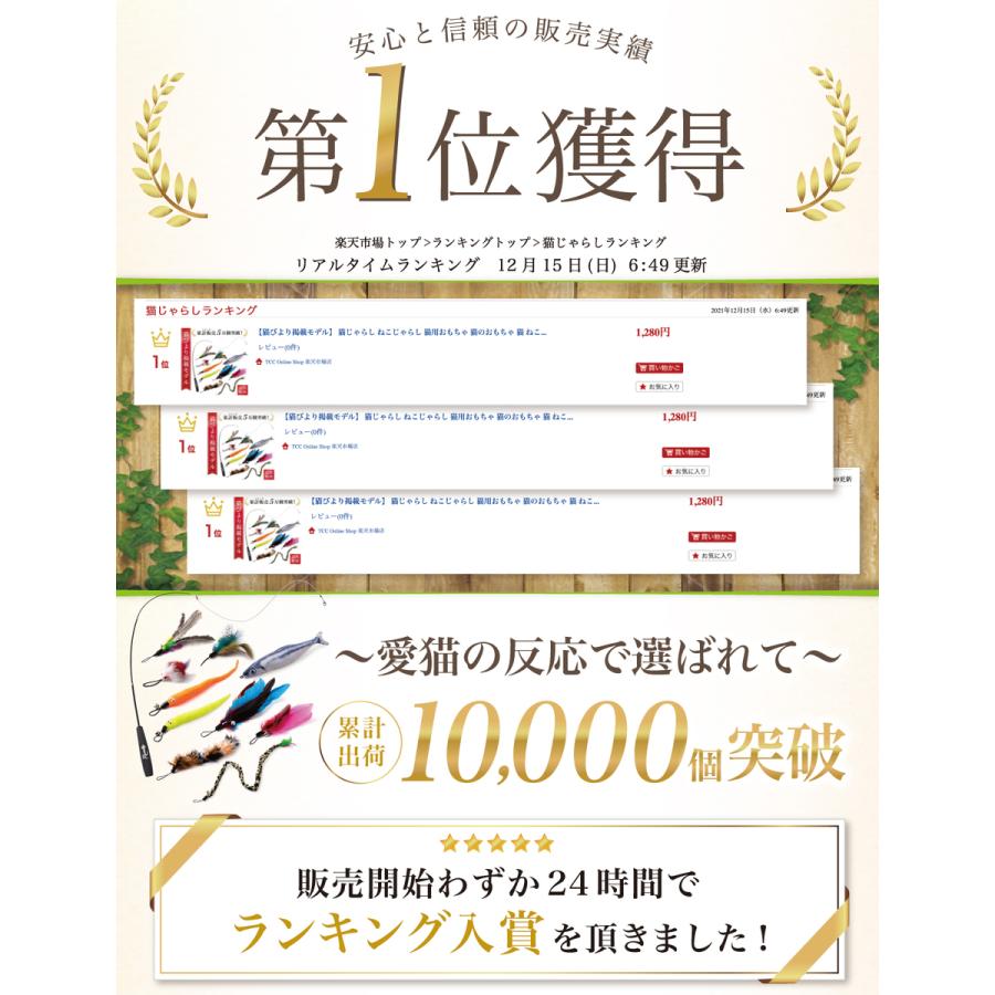 【獣医師が監修】 猫じゃらし ねこじゃらし 猫用おもちゃ 猫 ねこ ネコ 羽根 鈴 猫用品 猫おもちゃ ストレス解消 運動不足解消 鳥の羽 鳥のハネ | Rozally | 02