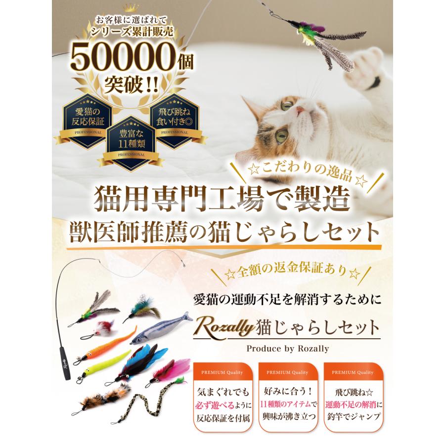 Rozally 【獣医師が監修】 猫じゃらし ねこじゃらし 猫用おもちゃ 猫