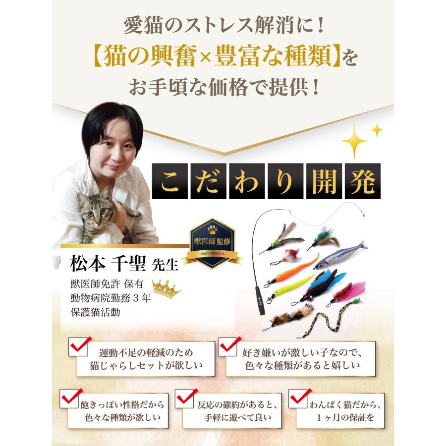 【獣医師が監修】 猫じゃらし ねこじゃらし 猫用おもちゃ 猫 ねこ ネコ 羽根 鈴 猫用品 猫おもちゃ ストレス解消 運動不足解消 鳥の羽 鳥のハネ | Rozally | 05