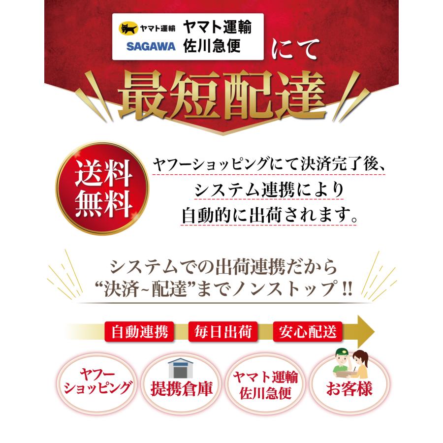 【保育士が監修】 円座クッション ドーナツクッション 産後 痔 産後クッション 円座 クッション 高反発 ドーナツ クッション 出産 妊婦 穴あきクッション 楕円型 | Rozally | 17