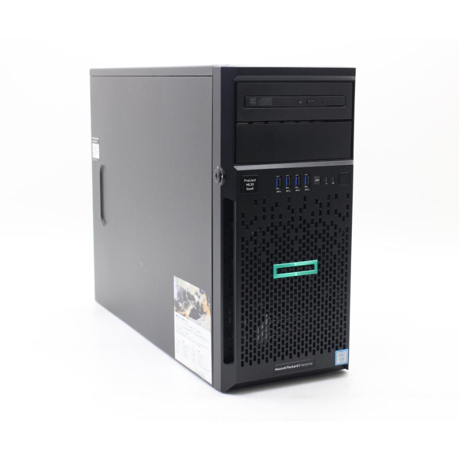 hp ProLiant ML30 Gen9 Xeon E3-1230 v5 3.4GHz 8GB 1TBx2台