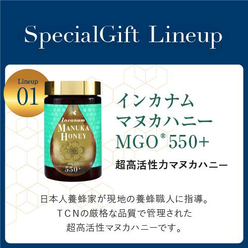 超格安一点 マヌカハニー ギフトfセット インカナムマヌカハニーmgo550 500g 1個 プロポリス30 30ml 1個 スプーンの3点セット Ambpspo Gb Cisama Sc Gov Br