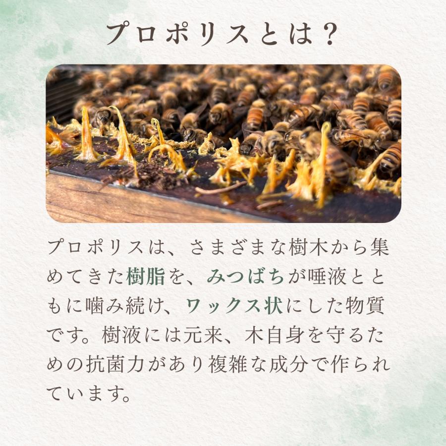 プロポリス 30 [30mL×3本] ブラジル産 原液 高濃度 プロポリス液 TCN
