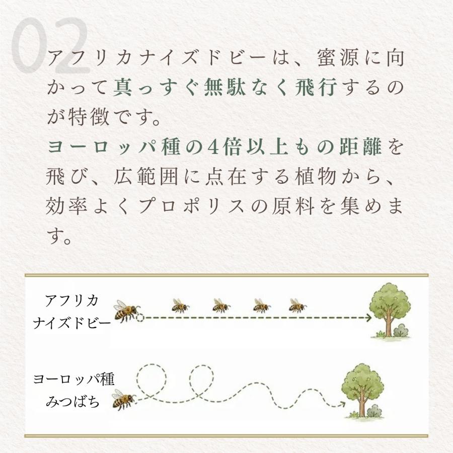 プロポリス 30 [30mL×3本] ブラジル産 原液 高濃度 プロポリス液 TCN