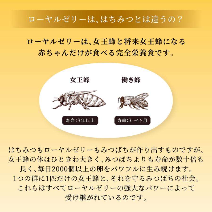 ローヤルゼリー [250g] 中国産 ローヤルエイト 美容成分 デセン酸 TCN