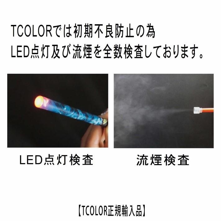 電子タバコ シーシャ タイム SHISHA TIME 使い捨て 電子 タバコ フレーバー 10種類 ニコチン・タールゼロ｜tcolorjapan｜18