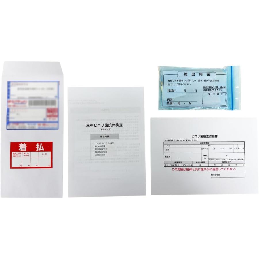 【自宅で5分】認知症セルフチェックキット 検査用 尿タイプ ピロリ菌検査キット 自宅検査 尿で簡単 胃がんリスクチェック 郵送検査