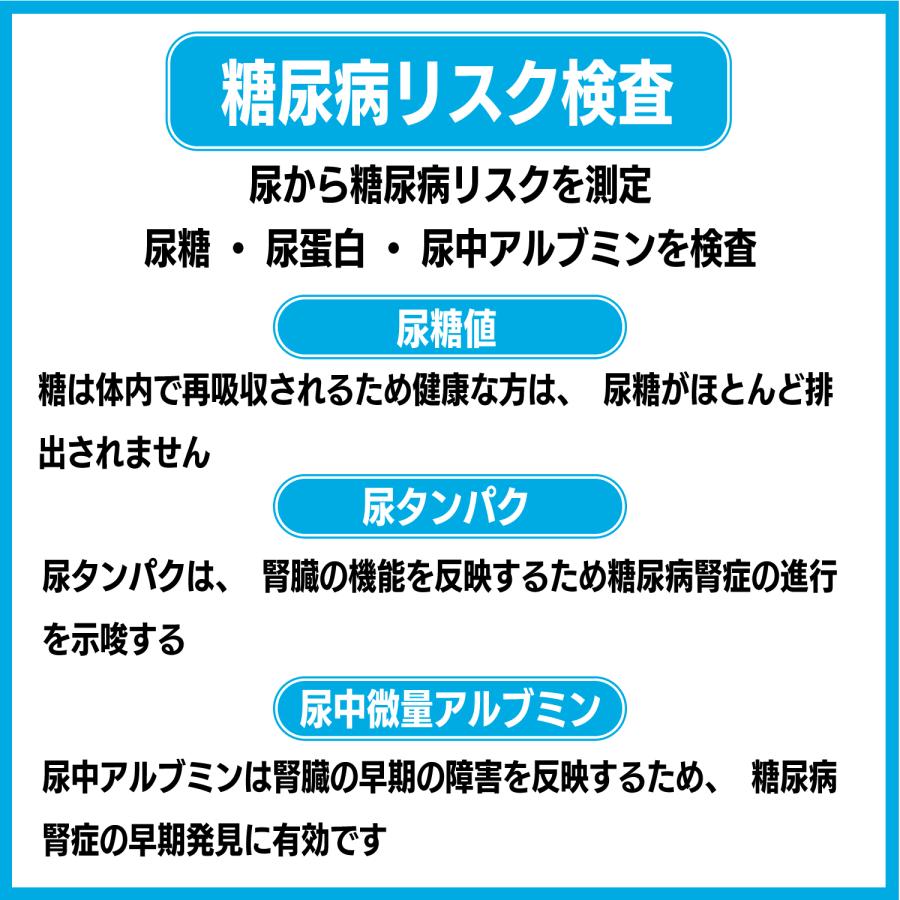 糖尿病検査キット 尿糖 尿蛋白 尿中アルブミン 尿検査3項目 郵送検査 生活習慣病検査 |  | 02