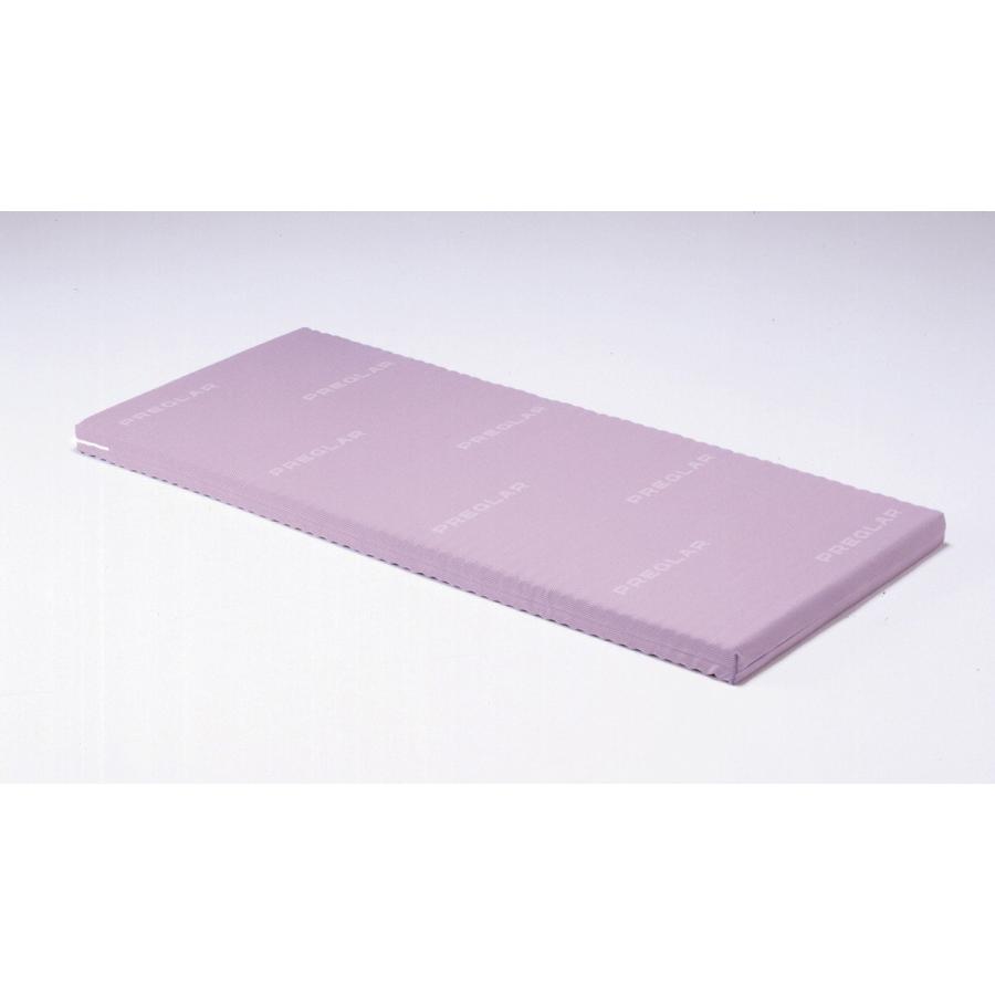 送料無料】【メーカー直送品】【パラマウントベッド】プレグラー 