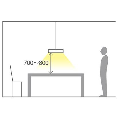 パナソニック LGB15352天井吊下型 電球色 ペンダント クリーンアクリルセード 引掛シーリング方式 LED電球交換型 【端正】 白熱電球100形1灯器具相当