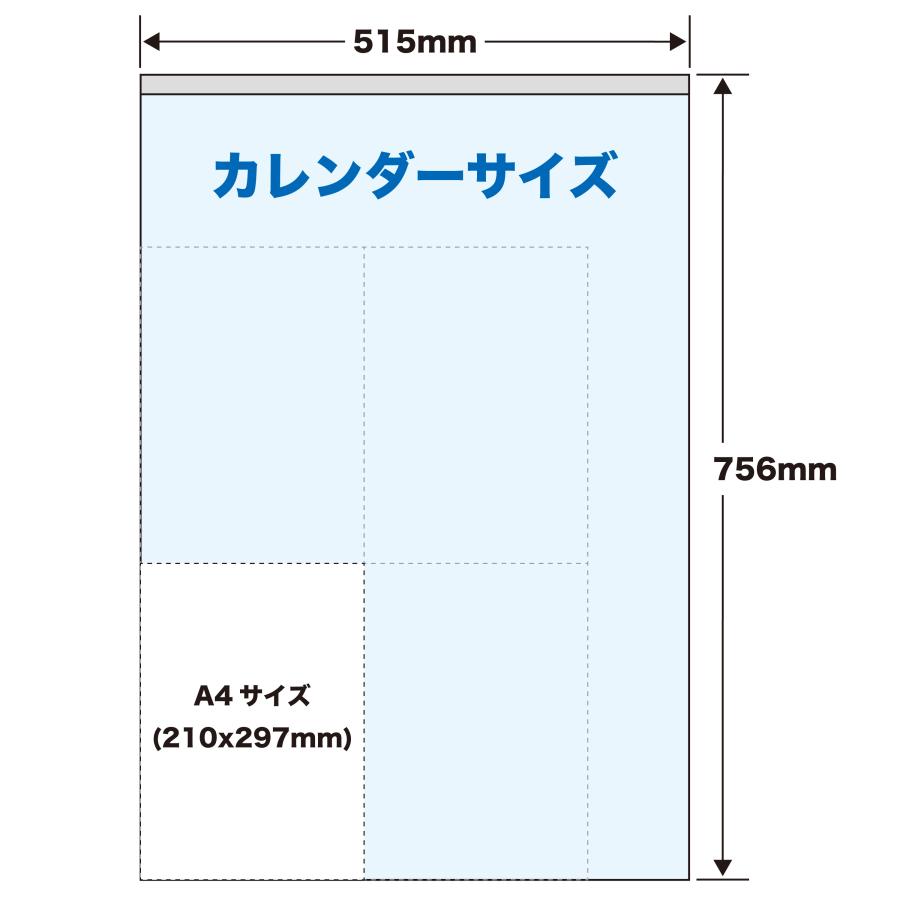 トーダン 2026年 カレンダー 壁掛け カラー2ヶ月メモ・ジャンボ