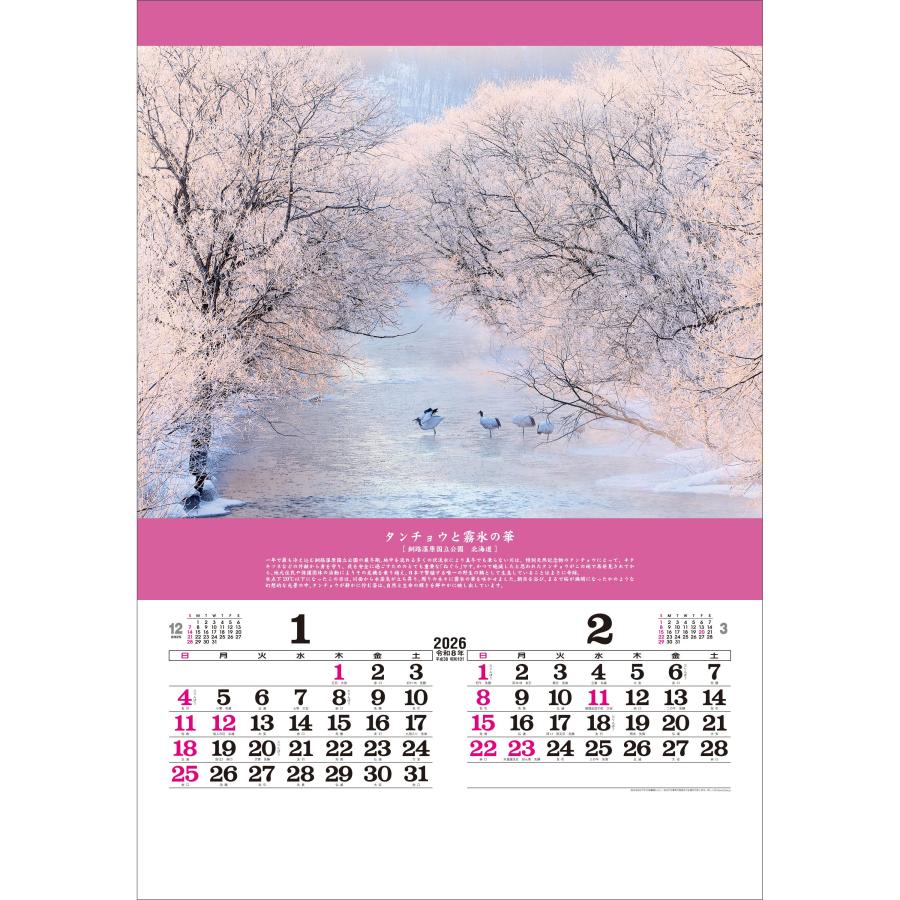 トーダン 2026年 カレンダー 壁掛け 奇跡の絶景〜開運を招く風景