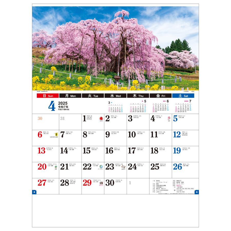 2025年 トーダン 壁掛けカレンダー / 日本風景文字 TD801 / 日本風景・自然・観光 TD801カレンダーのトーダン