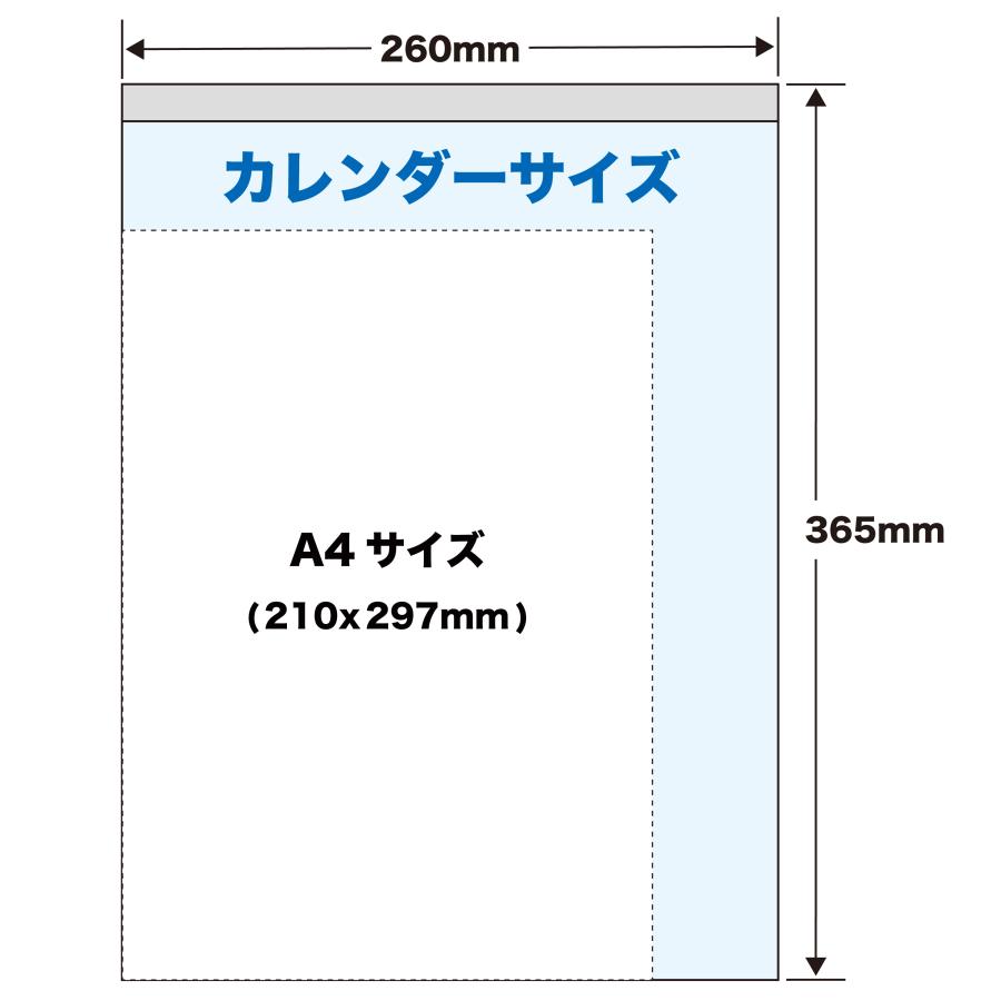 トーダン 2026年 カレンダー 壁掛け 3色八切文字月表 36.5 x 26cm TD