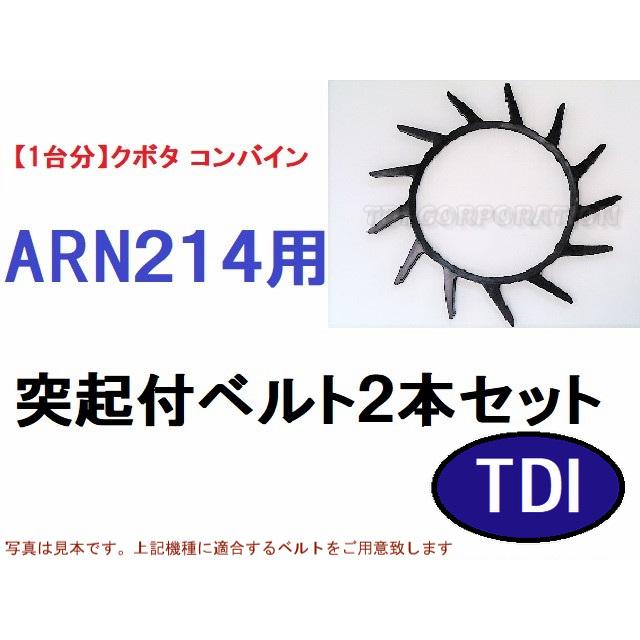 17463500_2