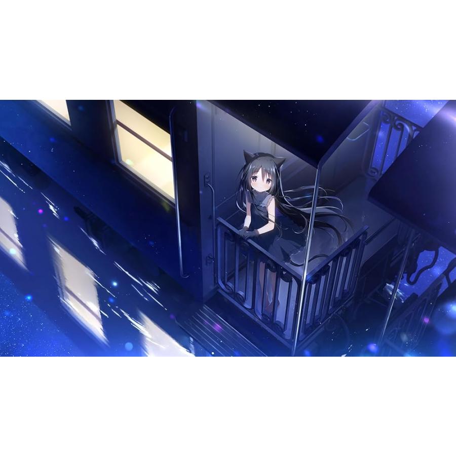 星空鉄道とシロの旅 限定版 【同梱物】しらたま氏による描き下ろし