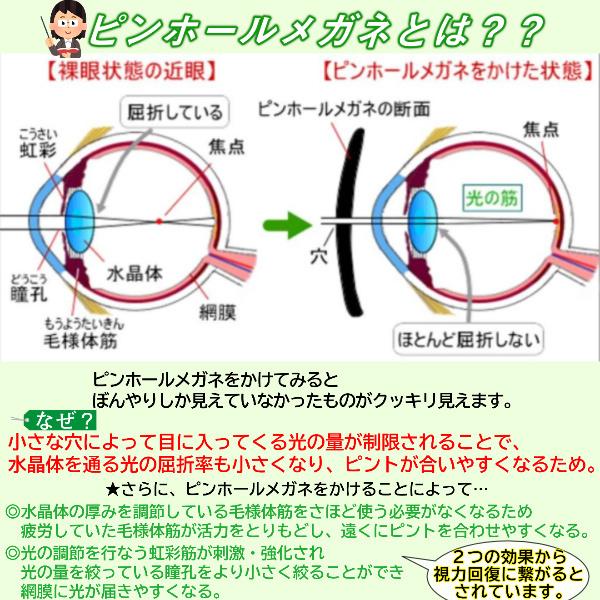 ピンホールメガネ メガネ 眼鏡 めがね トレーニング 眼筋力 眼精疲労 疲れ目 リフレッシュ 視力トレーニング 疲労回復 Tyay0003 Tds ヤフーshop 通販 Yahoo ショッピング